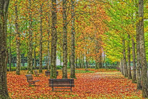 650894 (a): :1920x1280